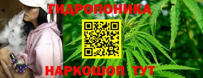 молекула духа Кулебаки