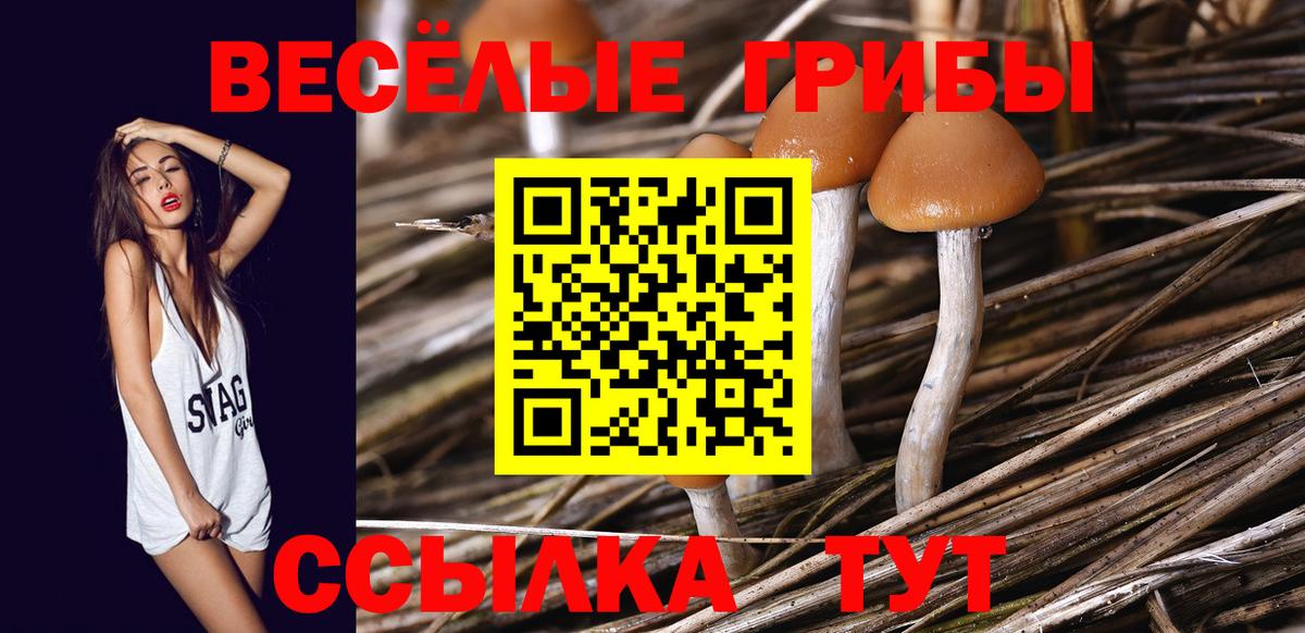 Галлюциногенные грибы MAGIC MUSHROOMS Тельмана