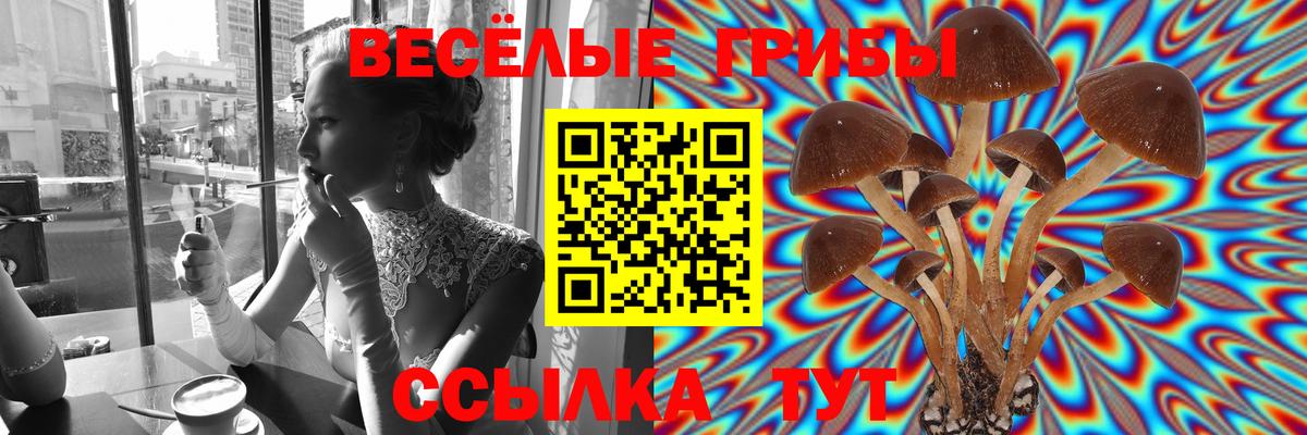 Псилоцибиновые грибы Psilocybine cubensis  Псилоцибиновые грибы MAGIC MUSHROOMS  Вход с VPN  Тельмана 